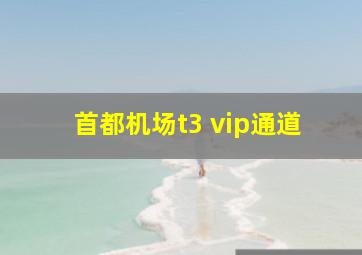 首都机场t3 vip通道